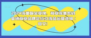 2024流量吸金变现,商业流量密码营销商业品牌定位引流品运营逻辑(图文)-第一资源库