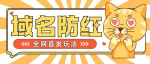 0基础搭建域名防红告别被封风险,学会可对外接单,一单收200+【揭秘】-第一资源库