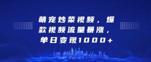 萌宠炒菜视频，爆款视频流量暴涨，单日变现1k-第一资源库