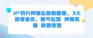 IP切片剪辑运营陪跑课,3大培训体系,账号运营 剪辑实操 快速变现-第一资源库