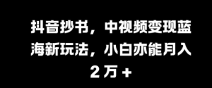 抖音抄书,中视频变现蓝海新玩法,小白亦能月入 过W【揭秘】-第一资源库