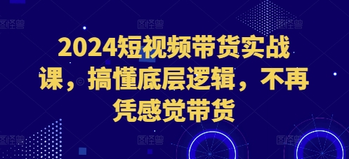 2024短视频带货实战课,搞懂底层逻辑,不再凭感觉带货-第一资源库