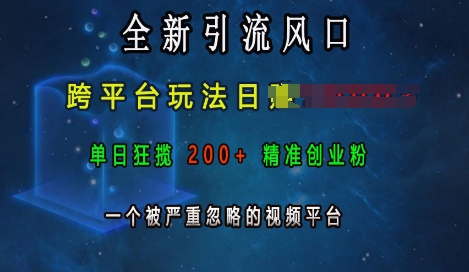 全新引流风口,跨平台玩法日入上k,单日狂揽200+精准创业粉,一个被严重忽略的视频平台-第一资源库
