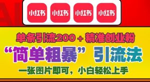 12月底小红书”简单粗暴“引流法,单条引流200+精准创业粉-第一资源库