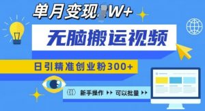 无脑搬运视频号可批量复制，新手即可操作，日引精准创业粉300+，月变现过W 【揭秘】-第一资源库