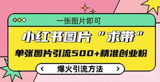 小红书图片‘求带’爆火引流法,单张图片引流500+精准创业粉【揭秘】-第一资源库