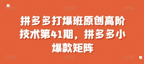 拼多多打爆班原创高阶技术第41期,拼多多小爆款矩阵-第一资源库