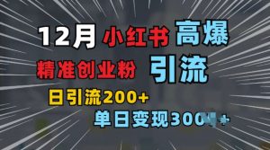 小红书一张图片“引爆”创业粉,单日+200+精准创业粉 可筛选付费意识创业粉【揭秘】-第一资源库