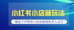 小红书小店新玩法,蹭这个IP带货,小白也能轻松月入过W【揭秘】-第一资源库