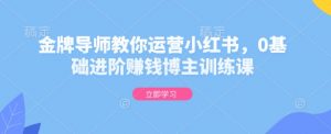 金牌导师教你运营小红书，0基础进阶赚钱博主训练课-第一资源库