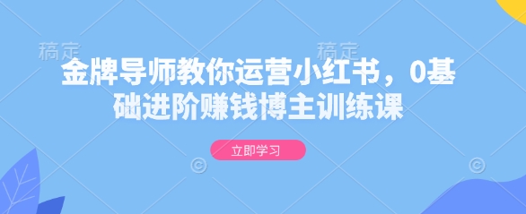 金牌导师教你运营小红书，0基础进阶赚钱博主训练课-第一资源库