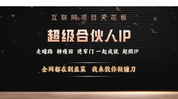 互联网项目天花板,超级合伙人IP,全网都在割韭菜,我来教你做镰刀【仅揭秘】-第一资源库