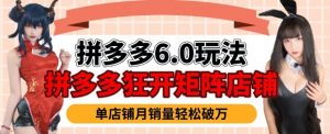 拼多多虚拟商品暴利6.0玩法,轻松实现月入过W-第一资源库