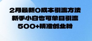 2月最新0成本引流方法,新手小白也可单日引流500+精准创业粉-第一资源库