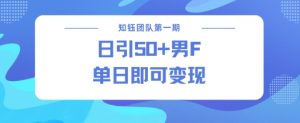 男粉引流新方法不违规,当日即可变现-第一资源库
