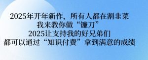 2025年开年新作，所有人都在割韭菜，我来教你做“镰刀” 2025让支持我的好兄弟们都可以通过“知识付费”拿到满意的成绩【揭秘】-第一资源库