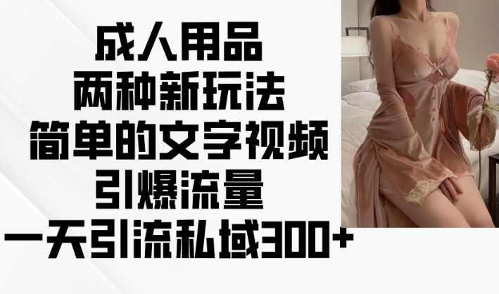 成人用品两种新玩法，简单的文字视频引爆流量，一天引流私域300+-第一资源库