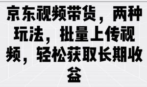 京东视频带货,两种玩法,批量上传视频,轻松获取长期收益-第一资源库