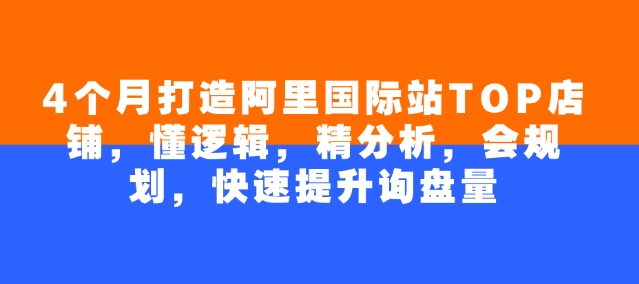 4个月打造阿里国际站TOP店铺,懂逻辑,精分析,会规划,快速提升询盘量-第一资源库