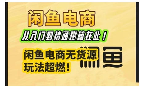 闲鱼电商实战课，从入门到精通秘籍在此，闲鱼电商无货源玩法超燃!-第一资源库