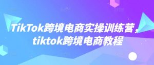 TikTok跨境电商实操训练营,tiktok跨境电商教程-第一资源库