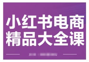 小红书电商精品大全课,快速掌握小红书运营技巧,实现精准引流与爆单目标,轻松玩转小红书电商-第一资源库