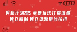 男粉计划2025  全新玩法打爆流量 独立网站 独立资源后台扶持【揭秘】-第一资源库