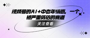 视频号的AI+中老年情感,一个被严重低估的赛道-第一资源库