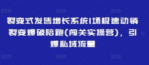 裂变式发售增长系统1场极速动销裂变爆破陪跑(闯关实操营),引爆私域流量-第一资源库