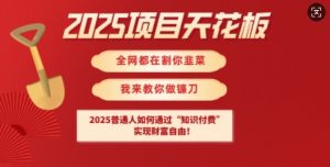 2025项目天花板普通人如何通过知识付费,实现财F自由【揭秘】-第一资源库
