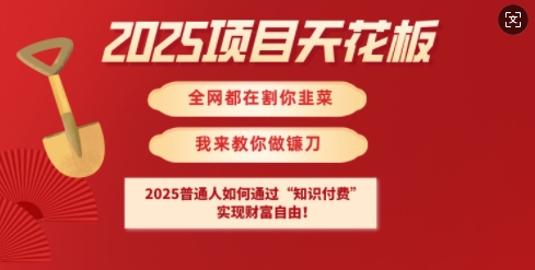2025项目天花板普通人如何通过知识付费,实现财F自由【揭秘】-第一资源库