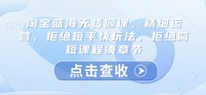淘宝蓝海无货源课,精细运营,拒绝短平快玩法,拒绝简短课程凑章节-第一资源库