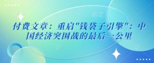 付费文章:重启”钱袋子引擎”:中国经济突围战的最后一公里-第一资源库