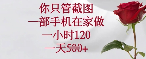 你只管截图,一部手机在家做,一小时120.一天5张【揭秘】-第一资源库