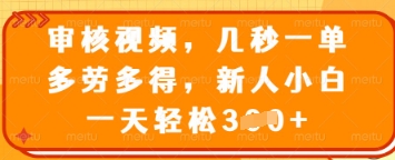 审核视频,几秒一单,多劳多得,新人小白一天轻松3张【揭秘】-第一资源库