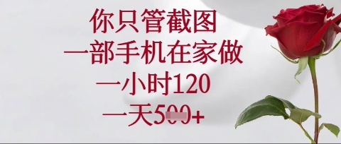 你只管截图,一部手机在家操作,一小时120.一天5张【揭秘】-第一资源库
