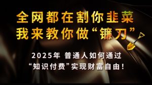全网都在割你韭菜,我来教你做镰刀,2025普通人如何通过知识付费,实现财F自由【揭秘】-第一资源库