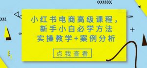 小红书电商高级课程,新手小白必学方法,实操教学+案例分析-第一资源库