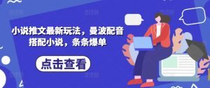 小说推文最新玩法，曼波配音搭配小说，条条爆单-第一资源库