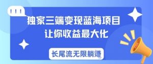 独家三端变现蓝海项目,让你收益最大化,长尾流无限躺挣-第一资源库