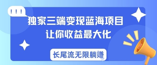 独家三端变现蓝海项目,让你收益最大化,长尾流无限躺挣-第一资源库
