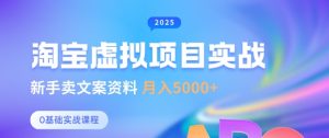 淘宝虚拟项目垂直玩法,新手卖文案资料,月入5k+-第一资源库