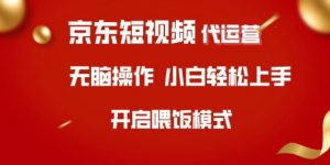 京东短视频代运营,全程喂饭,小白轻松上手【揭秘】-第一资源库