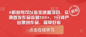 0粉新号可以做的加速器项目,实测首发作品收益100+,1分钟产出原创作品,简单好做-第一资源库