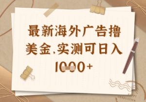 最新海外广告联盟挂机撸美金项目，实测可日入多张【揭秘】-第一资源库