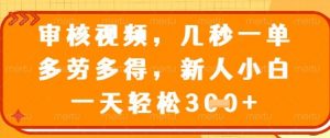 最新审核视频，几秒一单，多劳多得，新人小白一天轻松3张【揭秘】-第一资源库