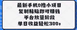 最新手机0撸小项目,复制粘贴即可挣钱,平台放量阶段,单日收益轻松3张+【揭秘】-第一资源库