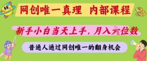 网创唯一真理，内部课程，新手小白当天上手，月入5位数，普通人通过网创唯一的机会【揭秘】-第一资源库