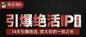 引爆绝活IP训练营,14天引爆绝活,放大你的一技之长-第一资源库