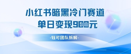 小红书冷门”暗黑”赛道,单日收益多张-第一资源库